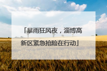 暴雨狂风夜，淄博高新区紧急抢险在行动